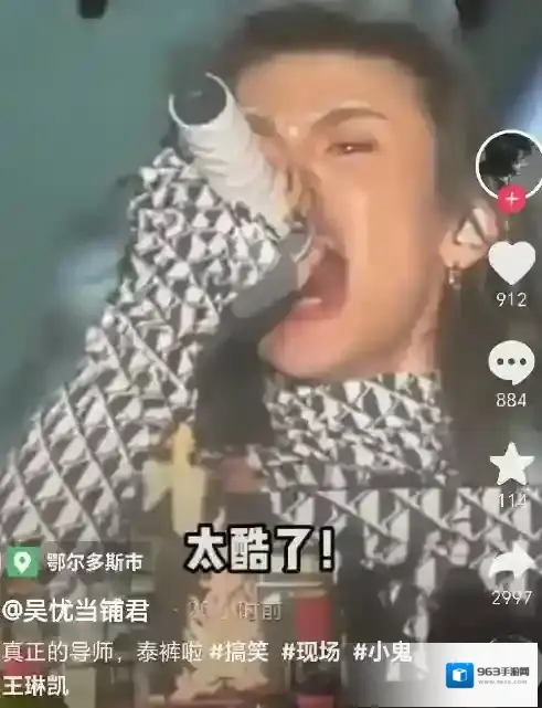 梗百科小鬼王琳凯
