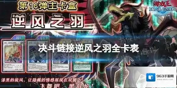 游戏王:决斗黑羽