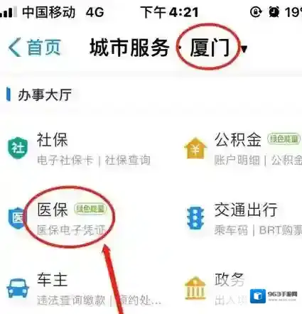 国家医保服务平台支付密码