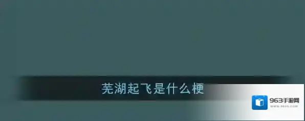 芜湖起飞是什么梗？