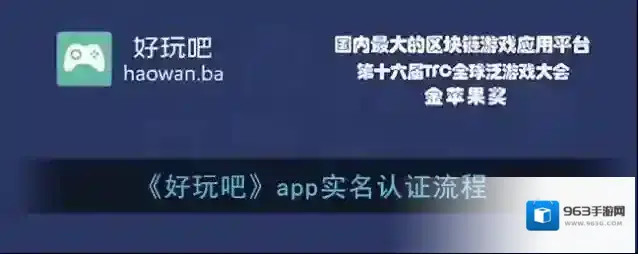 好玩吧实名认证