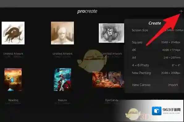 Procreate Pocket选择