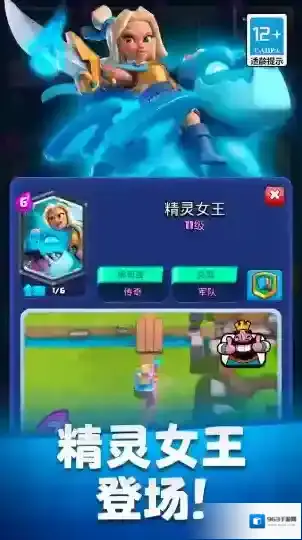 皇室战争卡组