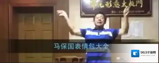 哔哩哔哩马保国