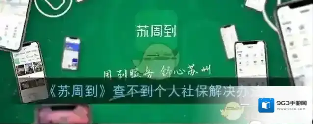 《苏周到》查不到个人社保解决办法