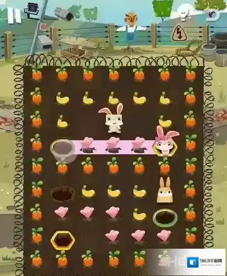 兔子复仇记中文版传送