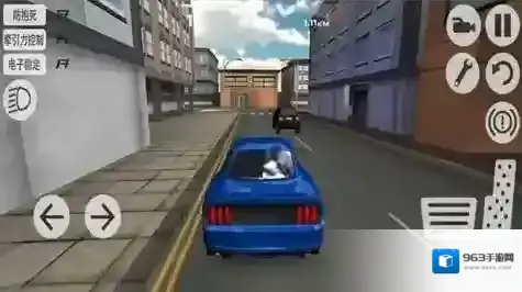 极品赛道大师赛车