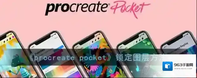 Procreate Pocket锁定