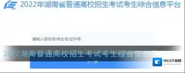 2022湖南普通高校招生考试考生综合信息平台入口