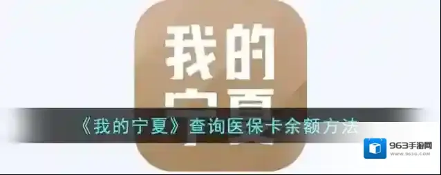 我的宁夏医保账户