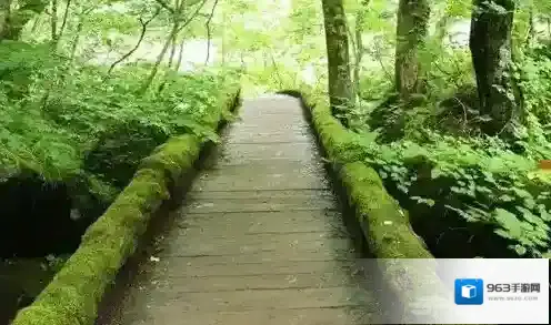 旅行青蛙明信片