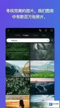 Canva设计