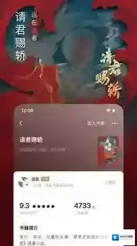 番茄小说阅读
