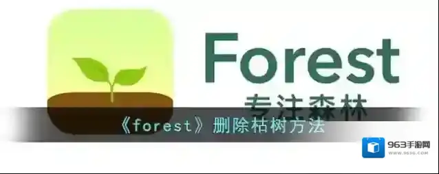 Forest金币
