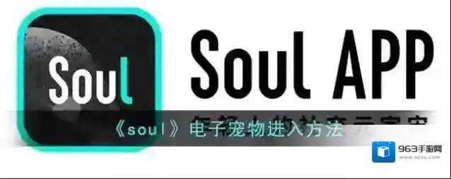Soul电子宠物