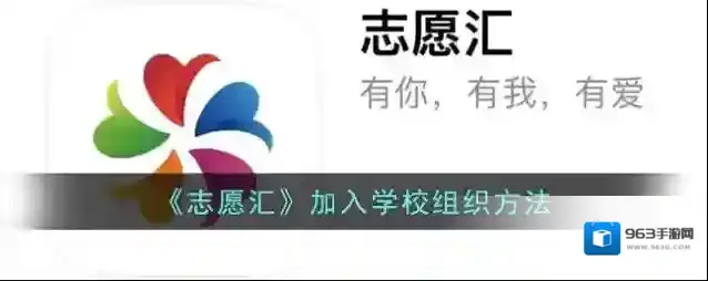 志愿汇组织