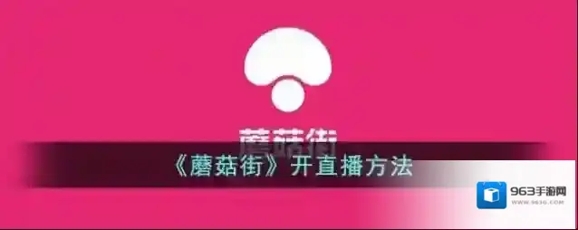 蘑菇街入驻