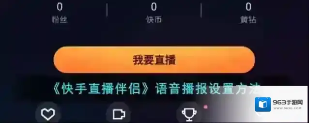 快手直播伴侣点击