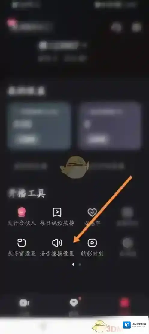 快手直播伴侣设置