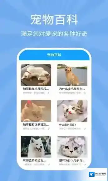 狗猫翻译器爱宠