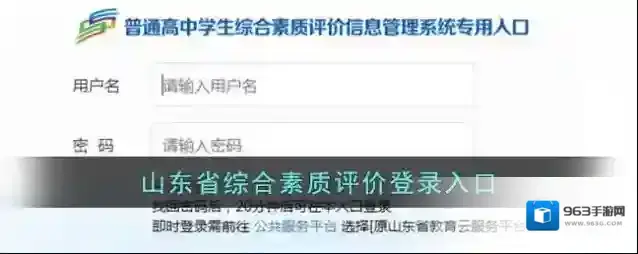 山东省教育云服务高中综评
