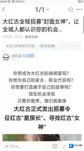 大红古内容