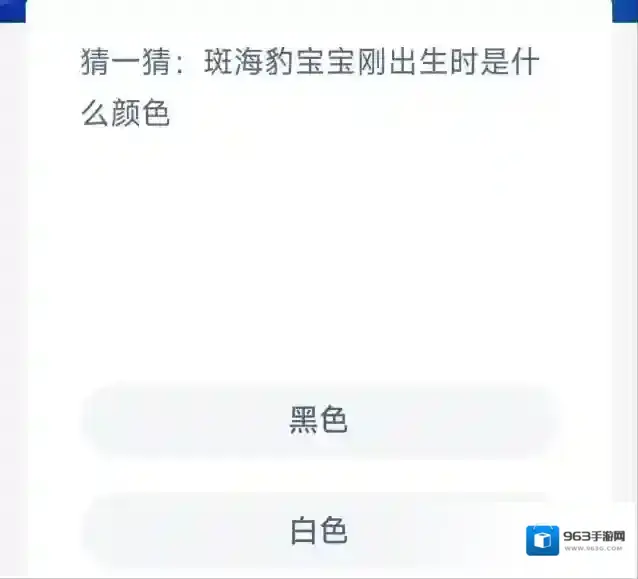 支付宝海豹宝宝