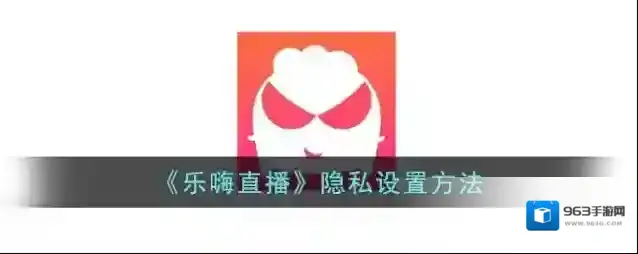 乐嗨隐私设置