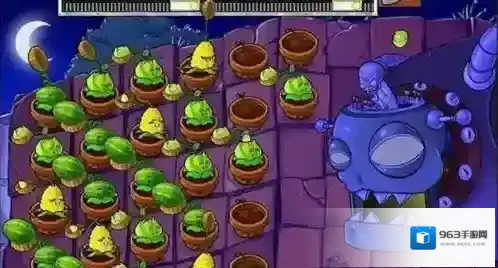 植物大战僵尸你需要