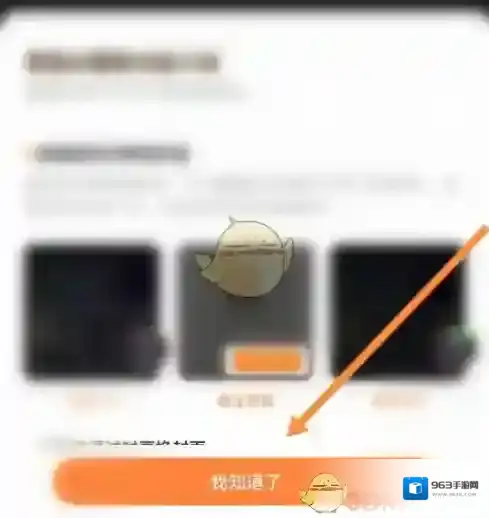 快手直播伴侣选项