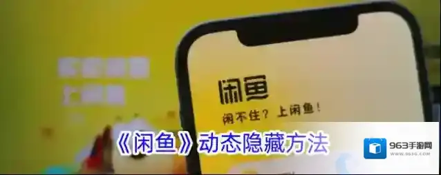 闲鱼信息