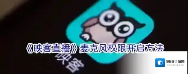 《映客直播》麦克风权限开启方法