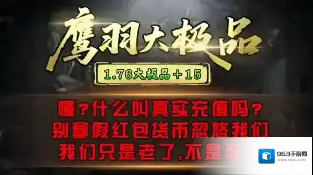 鹰羽76大极品金币